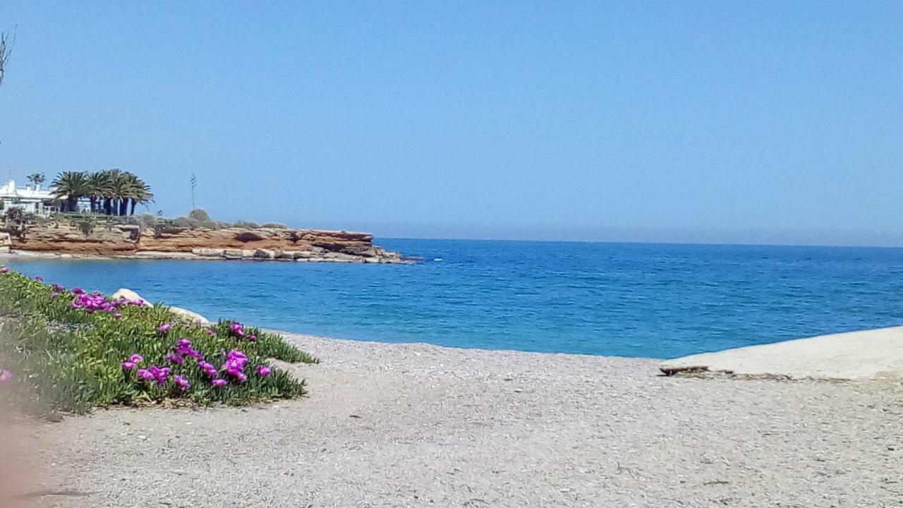 Primera Linea Playa Vinarós Zewnętrze zdjęcie